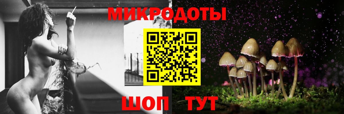 Зима  Псилоцибиновые грибы Cubensis  Псилоцибиновые грибы GOLDEN TEACHER  Вход с VPN 